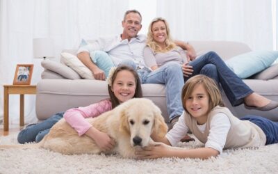 Assicurazione per animali domestici a Magenta e Inveruno: le soluzioni di Puricelli Assicurazioni