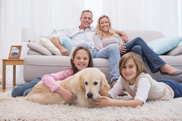 Proponiamo soluzioni per i proprietari di animali domestici.