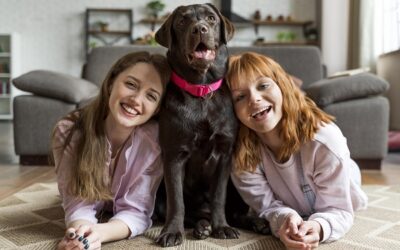 Come scegliere la migliore assicurazione per animali domestici a Magenta con Puricelli Assicurazioni