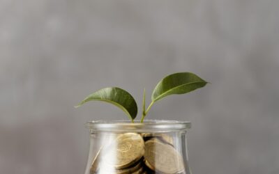 Beneficio fiscale relativo al fondo pensione: come ottimizzare i tuoi risparmi