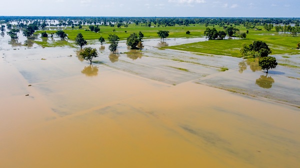 Obbligo polizza eventi catastrofali: cosa devi sapere per proteggere la tua impresa